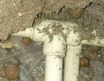 定南测漏水多少钱