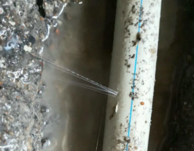 定南测漏水哪家好