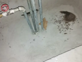 定南卫生间测漏水价格明细