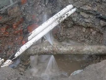 定南测漏水多少钱